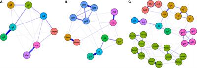 Relationship Between Gaming Disorder, Self-Compensation Motivation, Game Flow, Time Spent Gaming, and Fear of Missing Out Among a Sample of Chinese University Students: A Network Analysis